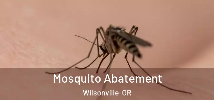 Mosquito Abatement Wilsonville-OR