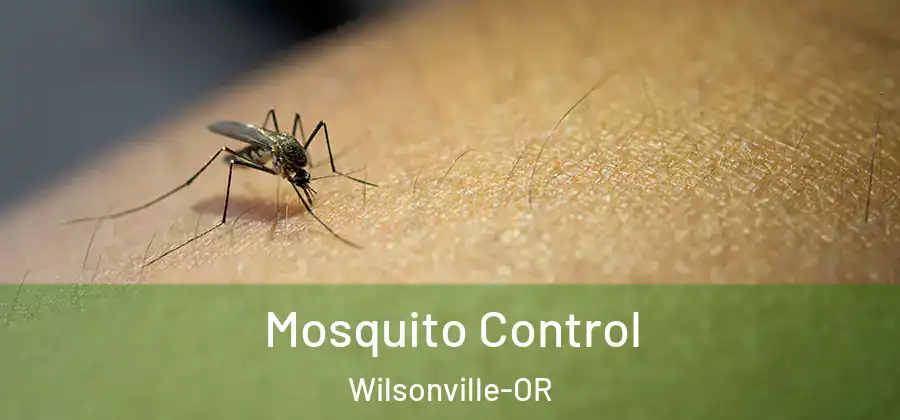 Mosquito Control Wilsonville-OR