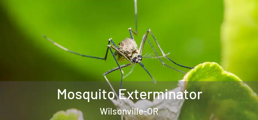 Mosquito Exterminator Wilsonville-OR