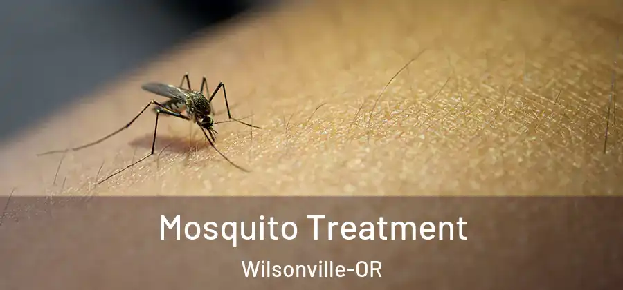  Mosquito Treatment Wilsonville-OR