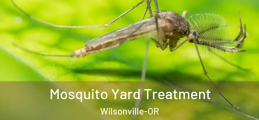  Mosquito Yard Treatment Wilsonville-OR