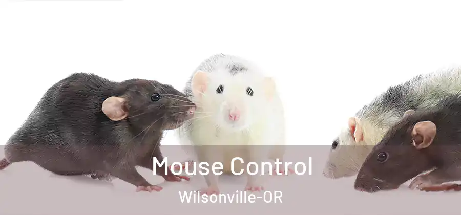 Mouse Control Wilsonville-OR
