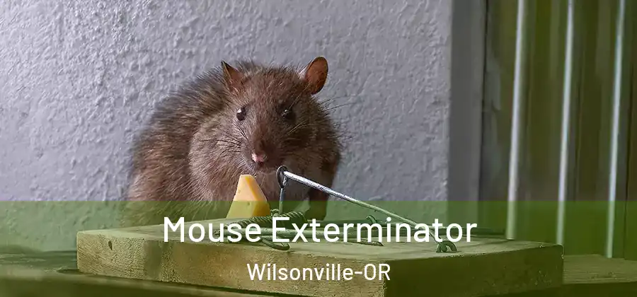 Mouse Exterminator Wilsonville-OR