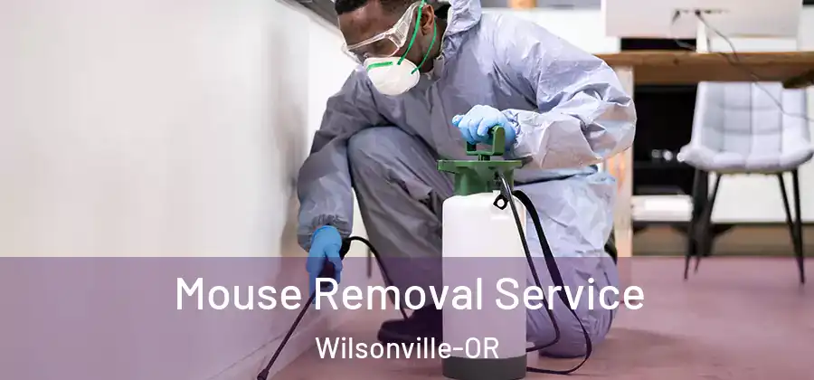 Mouse Removal Service Wilsonville-OR