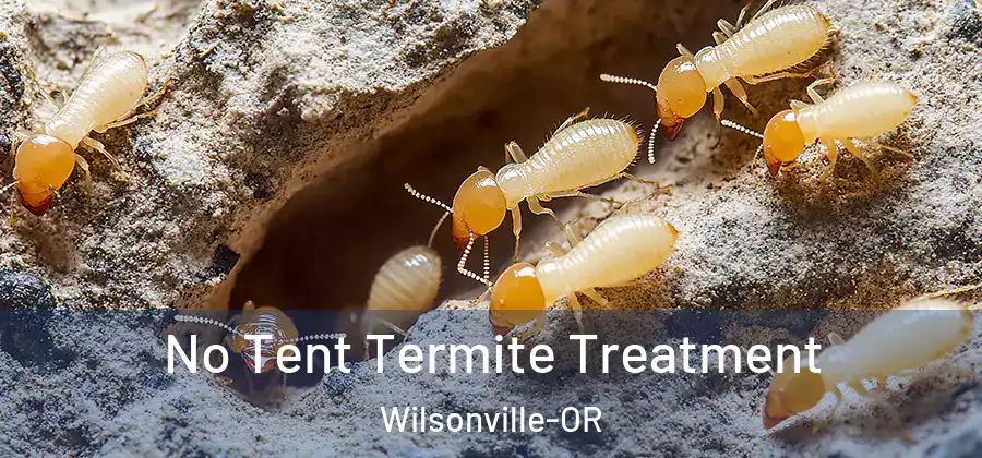 No Tent Termite Treatment Wilsonville-OR