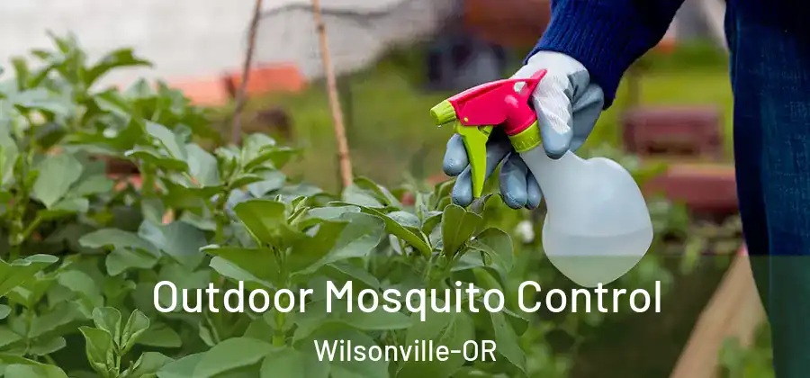 Outdoor Mosquito Control Wilsonville-OR