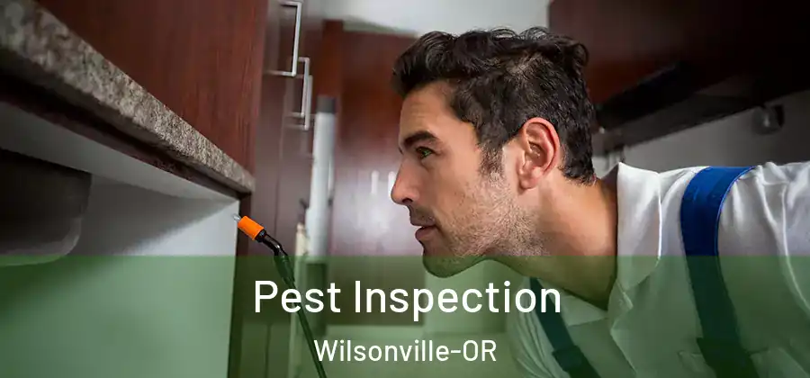 Pest Inspection Wilsonville-OR