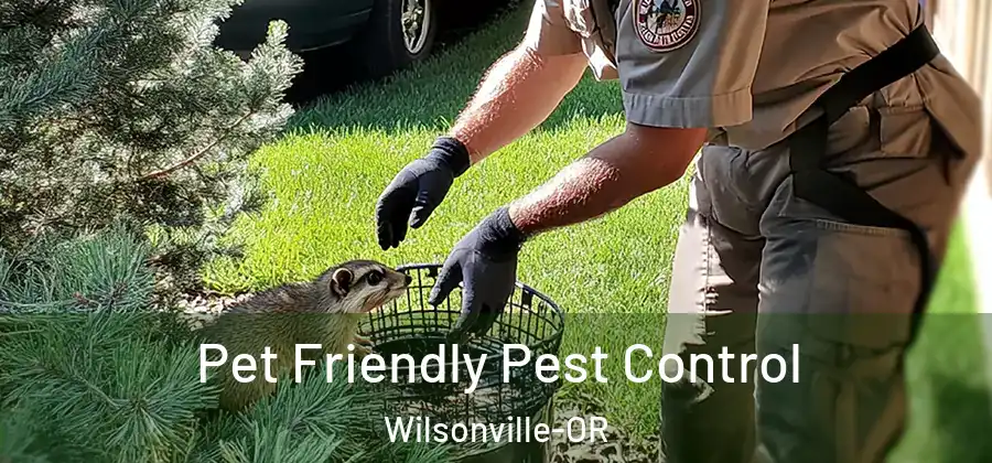 Pet Friendly Pest Control Wilsonville-OR