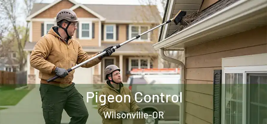  Pigeon Control Wilsonville-OR