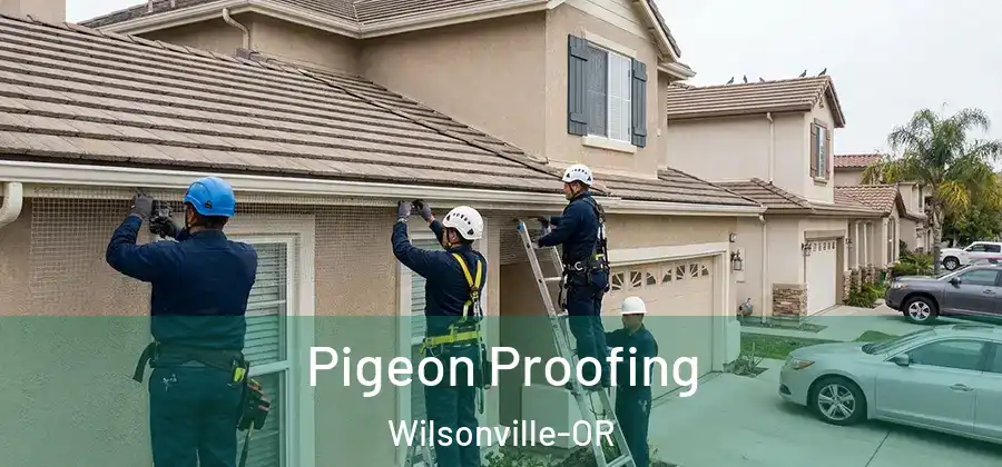  Pigeon Proofing Wilsonville-OR