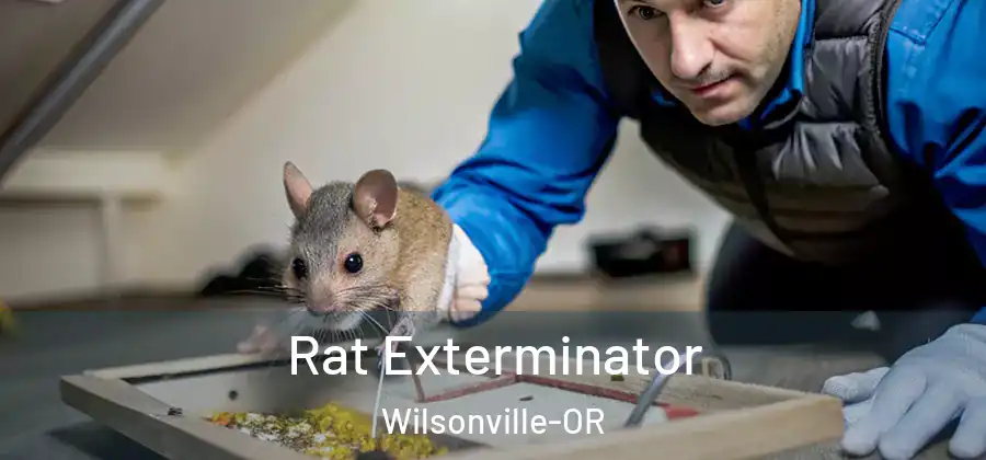 Rat Exterminator Wilsonville-OR