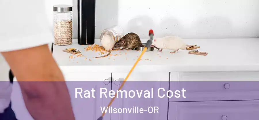 Rat Removal Cost Wilsonville-OR