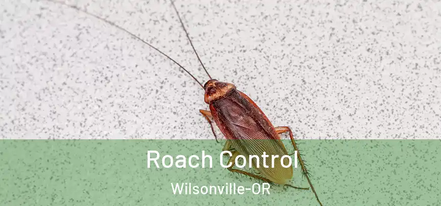  Roach Control Wilsonville-OR