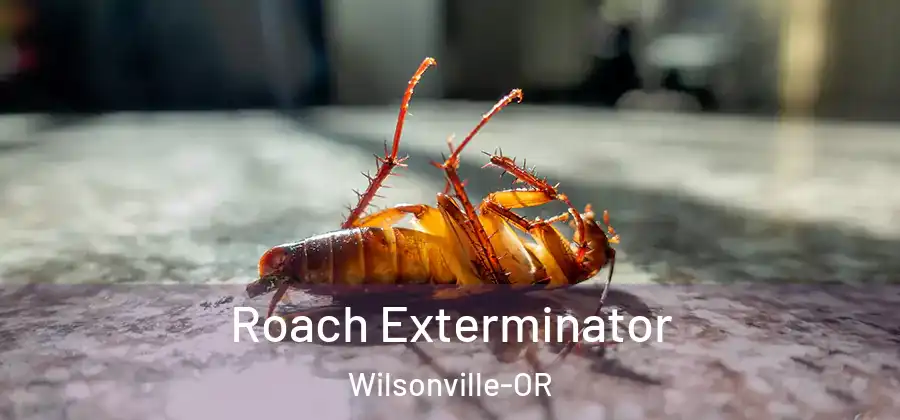 Roach Exterminator Wilsonville-OR