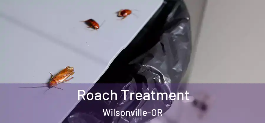 Roach Treatment Wilsonville-OR