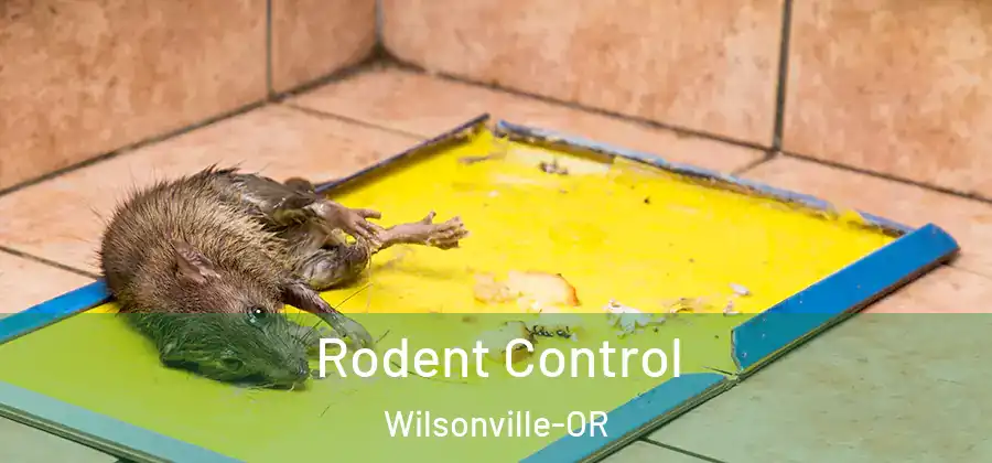 Rodent Control Wilsonville-OR