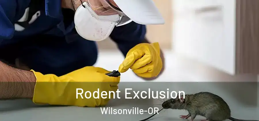 Rodent Exclusion Wilsonville-OR
