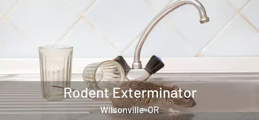Rodent Exterminator Wilsonville-OR