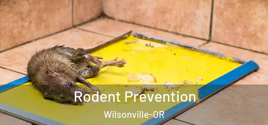 Rodent Prevention Wilsonville-OR