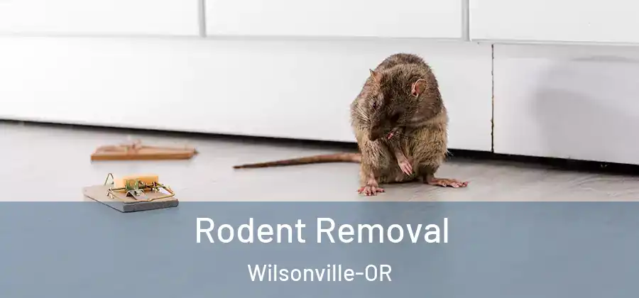 Rodent Removal Wilsonville-OR