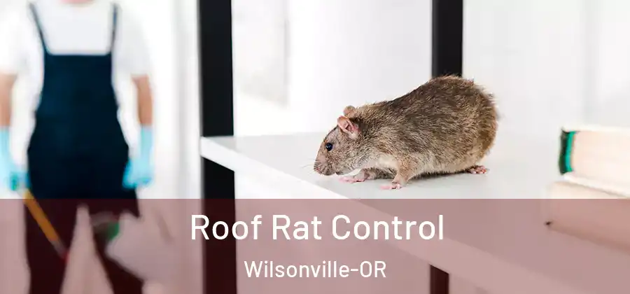 Roof Rat Control Wilsonville-OR