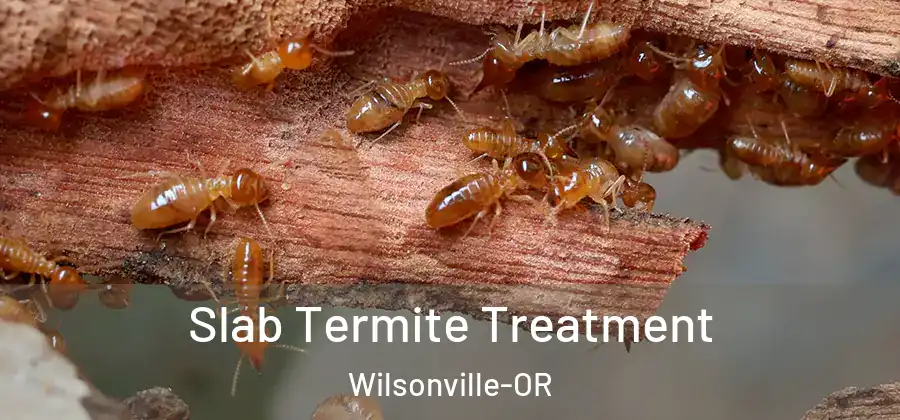 Slab Termite Treatment Wilsonville-OR