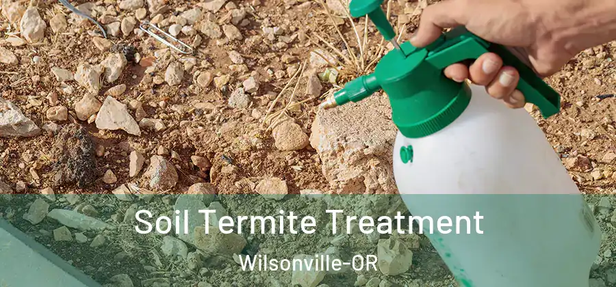 Soil Termite Treatment Wilsonville-OR