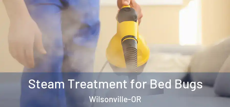  Steam Treatment for Bed Bugs Wilsonville-OR