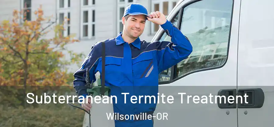 Subterranean Termite Treatment Wilsonville-OR