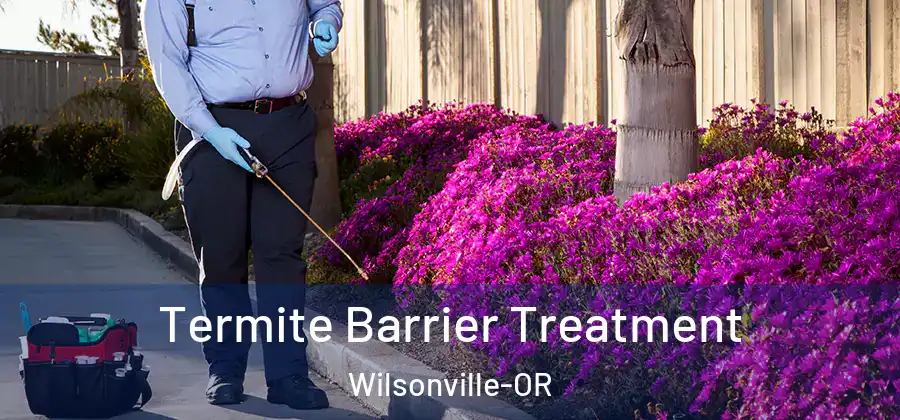  Termite Barrier Treatment Wilsonville-OR