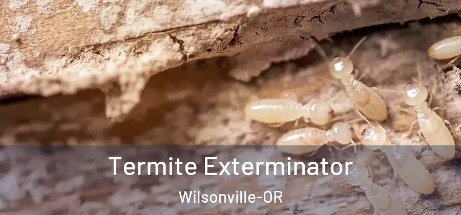 Termite Exterminator Wilsonville-OR
