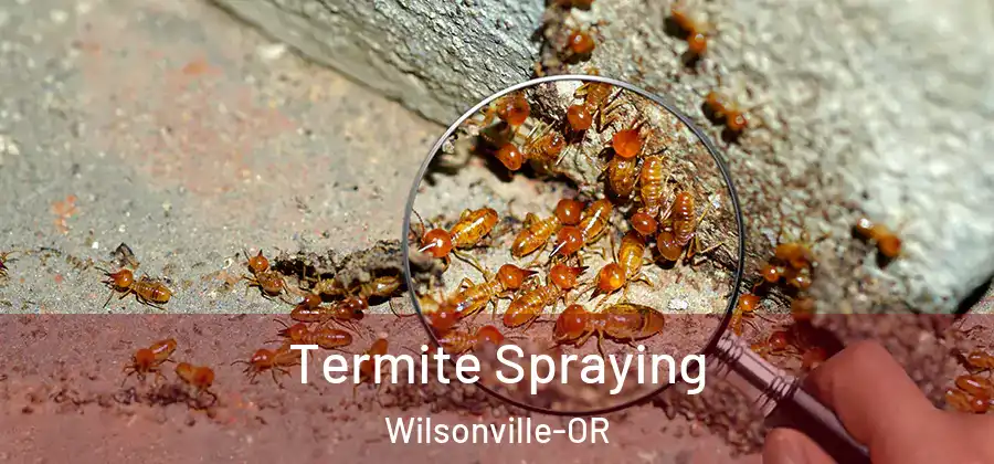 Termite Spraying Wilsonville-OR
