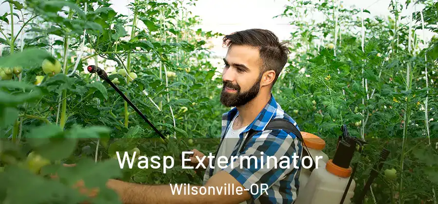  Wasp Exterminator Wilsonville-OR