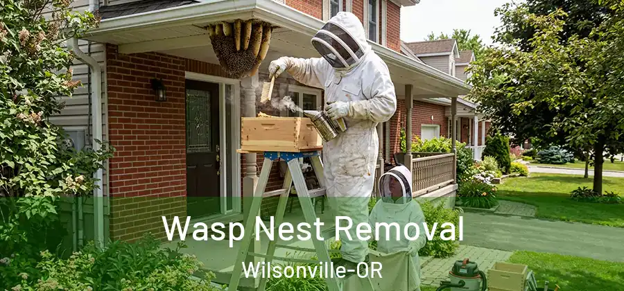 Wasp Nest Removal Wilsonville-OR
