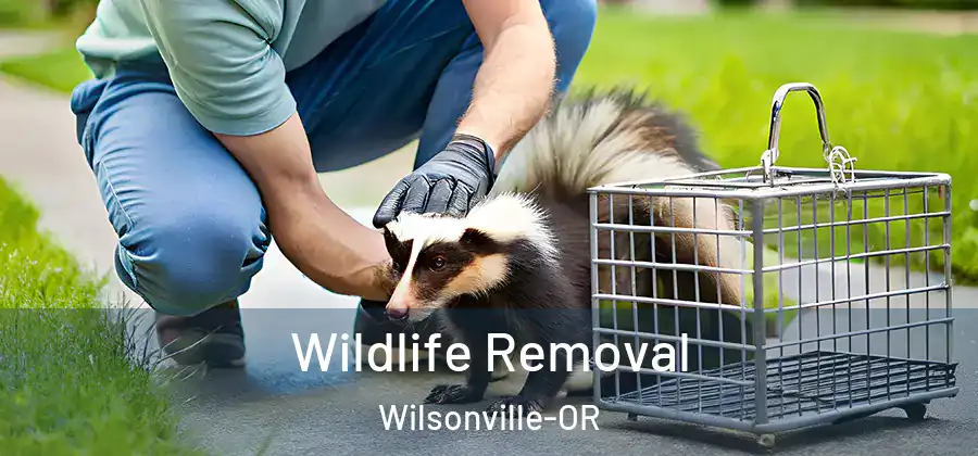 Wildlife Removal Wilsonville-OR
