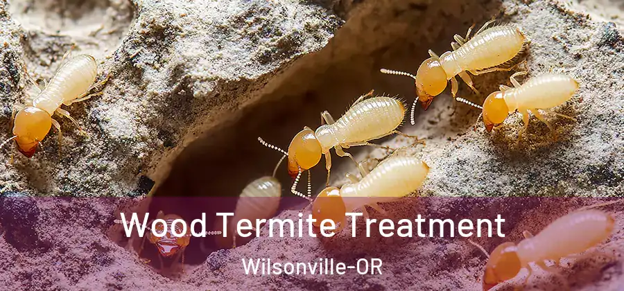 Wood Termite Treatment Wilsonville-OR