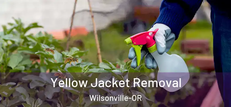  Yellow Jacket Removal Wilsonville-OR